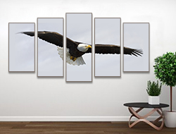 King Of The Skies 5 Panel Wall Art